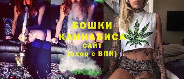 эйфоретик Белокуриха