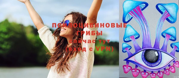 эйфоретик Белокуриха